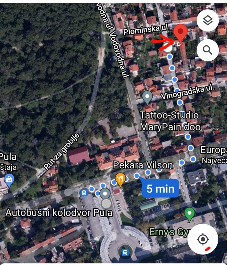 Studio Apartment City With Free Parking PUY 외부 사진
